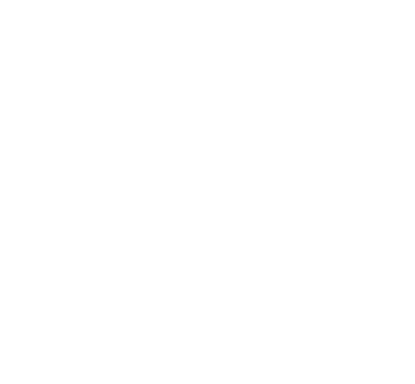 Soloking